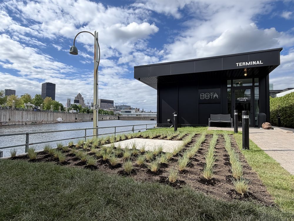 Bota Bota, à Montréal : la plate-bande nouvellement plantée de graminées en rangs sur paillis sombre, son carré de pierre pâle au centre et le lampadaire noir à lanterne, devant le bâtiment noir marqué TERMINAL, avec le plan d'eau, la rive opposée et les tours du centre-ville sous un ciel bleu.