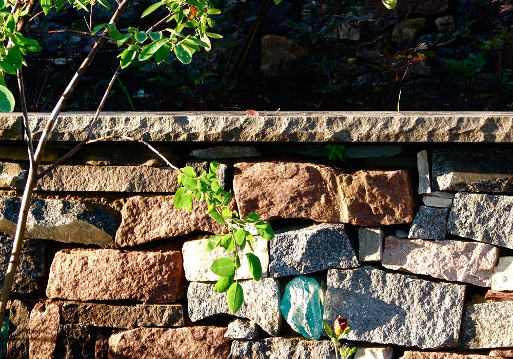 Détail d'un mur de pierre sèche : assises irrégulières, insert de verre coloré et jeune arbre planté devant.