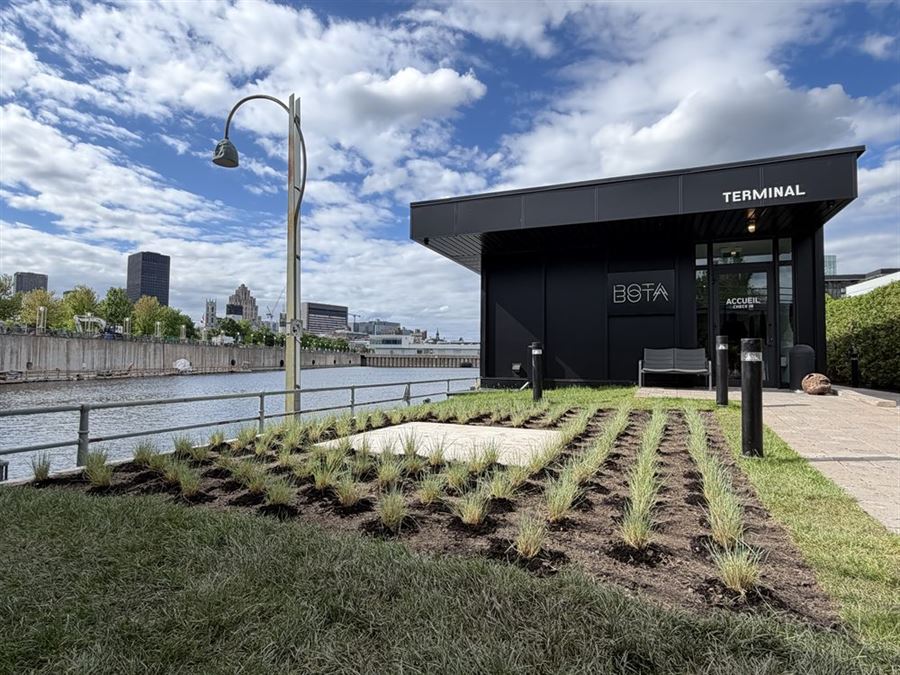 Bota Bota, à Montréal : la plate-bande nouvellement plantée de graminées en rangs sur paillis sombre, son carré de pierre pâle au centre et le lampadaire noir à lanterne, devant le bâtiment noir marqué TERMINAL, avec le plan d'eau, la rive opposée et les tours du centre-ville sous un ciel bleu.